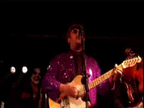 Las Cerdas: Daisy Star