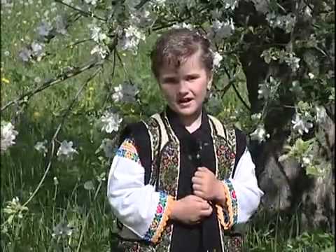 PETRONELA  POPA  - VERDE DE TRIFOI