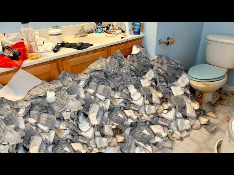 Cleaning a House Full of Dark Secrets