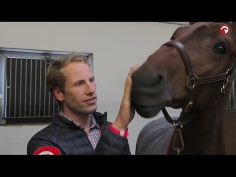 Wilhelm Winkeler | Interview | Hannoveraner Hengstkörung | 2016