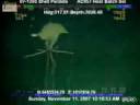 遙控潛艇實拍 深海龐大恐怖異形魷魚