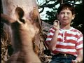 Rolo Cookies Skippy 1999 UK