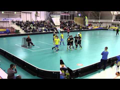 Maalikooste SB Welhot- FBC Turku 6.10.2013