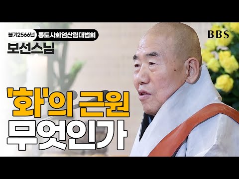 대표사진