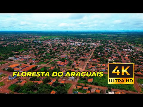 FLORESTA DO ARAGUAIA - PA            ( 4K )