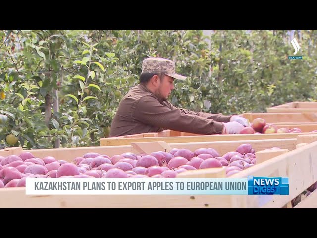 Алматы апорты халықаралық брендке айналуы мүмкін