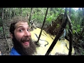 Anaconda in the Amazon Jungle Anaconda in the Amazon Jungle