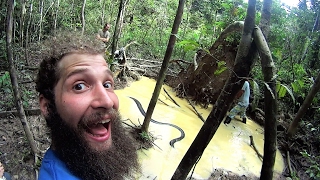 Anaconda in the Amazon Jungle