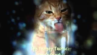 Funny Thursday Quotes