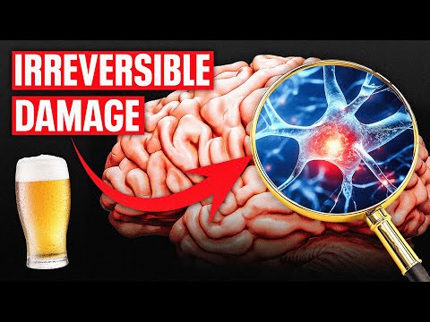Glutamate Surge: How Alcohol Hijacks Your Brain