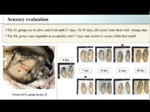 Effect of super-chilling storage on quality of pacific oyster