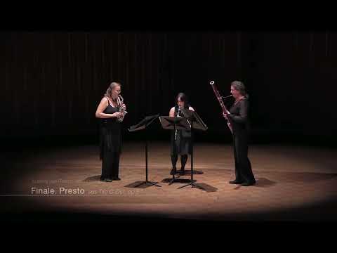 Trio Giocoso - Kammermusik mit Charme