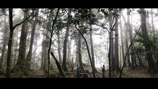 Re: [問卦] 南橫484可以放生了？