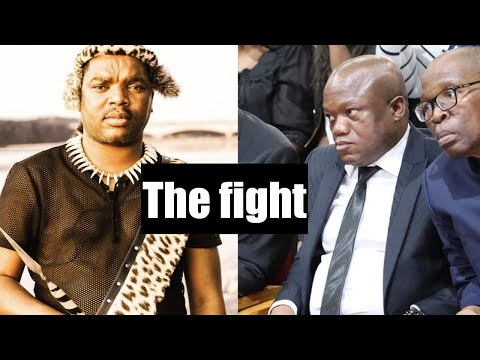 Sihle Zikalala and Ngizwe Mchunu's fight take a different turn