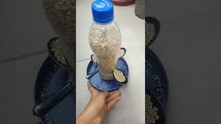 Bird Feeder|Best Out Of Waste