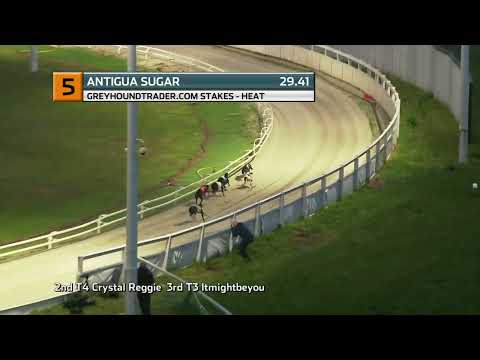 2022 GREYHOUND TRADER - T5 ANTIGUA SUGAR