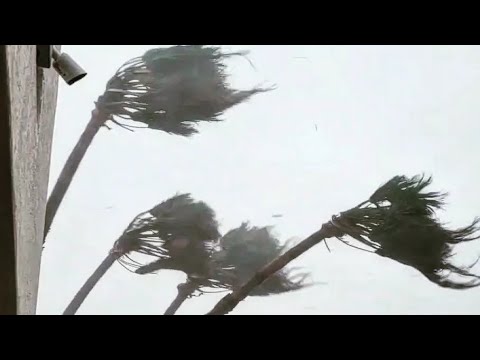 30 minutes of Hurricane Ian, eyewall intercept Port Charlotte, FL. Audio and damage images.