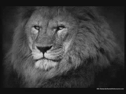 Galaxy P & Angel Doolas - Millionaire