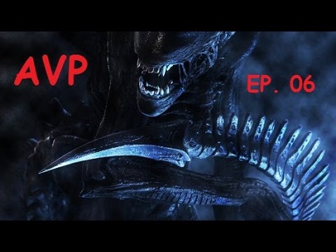 AVP Minecraft EP. 06 - Mekanism 3X Production and Automated Farming