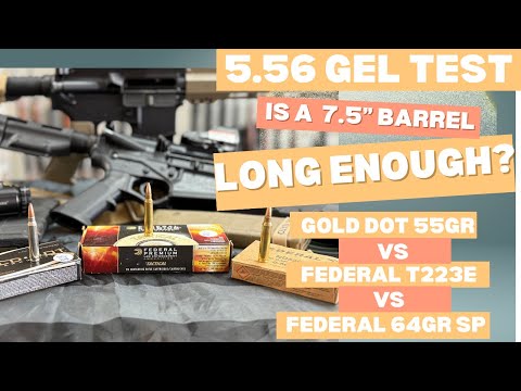 ATI 7.5” vs  PSA 11.5”  gel test. federal 5.56 BTHP/223 gold dot/ federal 5.56 64gr soft point