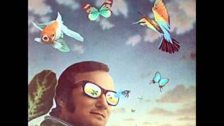 Manfredo Fest - Jungle Kitten