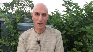 January 4: HG Mahatma Prabhu speaks on "The Voice of Wisdom"