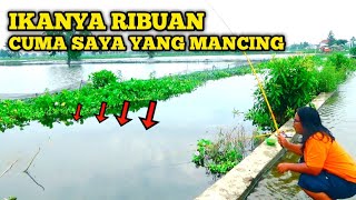 Download lagu There were no signs of life, but the contents were truly beyond expectations. mp3 Download lagu There were no signs of life, but the contents were truly beyond expectations. mp3