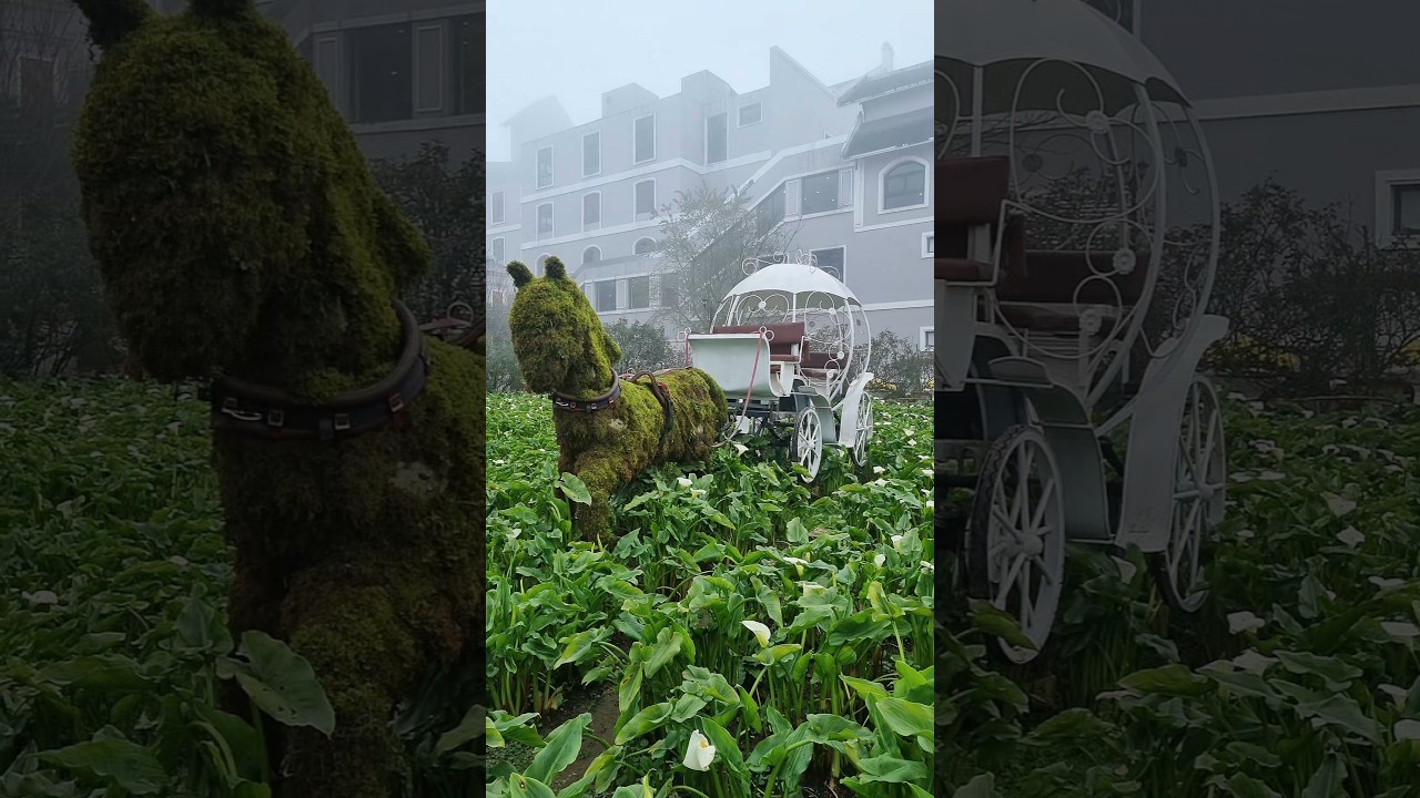 YouTube Short thumbnail