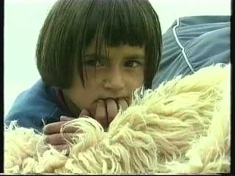 Prizren 1999, Srbi napuštaju Prizren