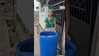 Download lagu Anak kucing lucu melompat 😍🐱 mp3