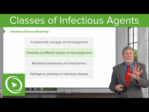 Types of Infectious Agents | Cellular Pathology