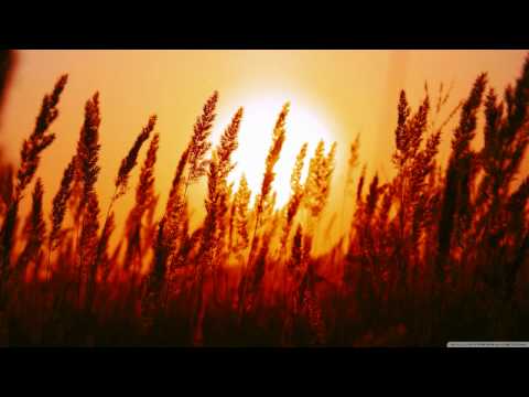 Filo & Peri - Ashley (Alex M.O.R.P.H Remix)