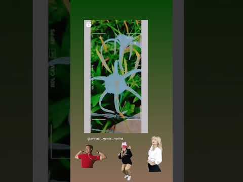 #Get Hashtags:Real videos short##Creating flowers ##🌼🌼🌼🌸🌸🌺🌺🌺🌺🌺🌺🍁🍁🍁