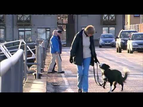 Schulfilm: Es gibt keinen Gott - Atheisten machen mobil (Vorschau)