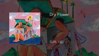 Cover art for Dry Flower - SURL (설)