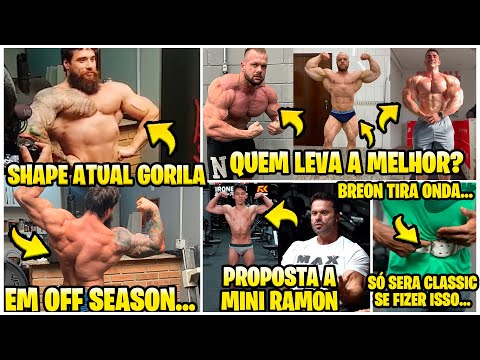 GORILA SHAPE ATUAL! CARIANI FAZ PROPOSTA A MINI RAMON! BOFF VS BRANDAO VS WILLIAM MARTINS! BREON E+