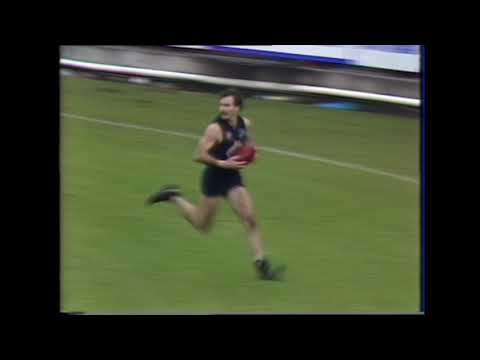 1984 Round 19 Carlton Highlights - Carlton vs Essendon