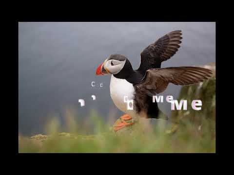 (FREE) Sad Guitar Trap R&B Type Beat - "Remember Me" by Andri F