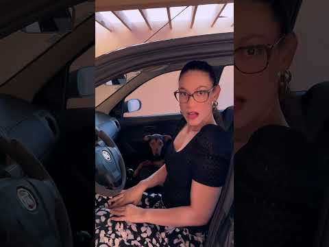 Lambo vs PALIO quem vence #lamborghini #palio #bentley #meme