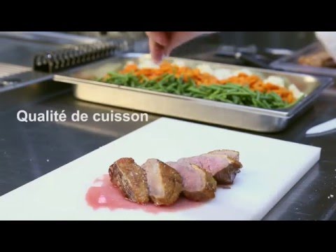 video 1, Four mixte électrique verticale GN1/1