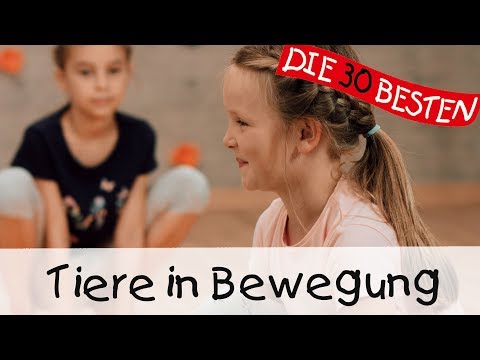 🙏🏼 Tiere in Bewegung - Yoga Bewegungslieder für Kinder || Kinderlieder