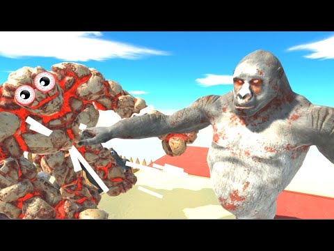 GORO KNOCKOUT TAKES DOWN UNITS FOR CRAZY PRIMATES  - ARBS