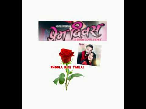 Phoola Diye Timilai(Karaoke)Vocal Remove