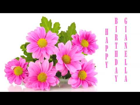 Gianella Flowers & Flores - Happy Birthday
