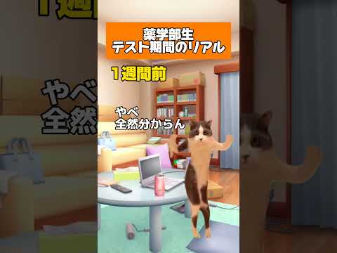 薬学科 薬学生テスト期間のリアル