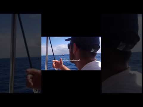 Souvenir Catamaran ⛵️⛵️ qu’est ce que ça manque !