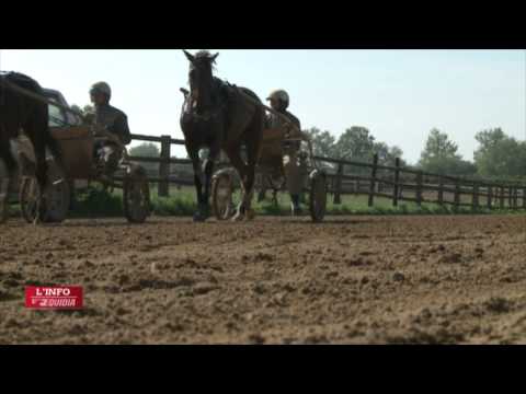 Carnet de Piste - Roi du Lupin / Jean-Paul Marmion