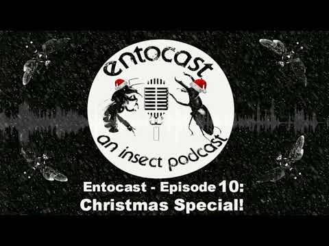 Episode 10: Christmas Special - Insects in Antarctica