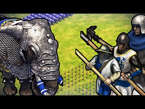 200 ELITE WAR ELEPHANTS vs 200x ENTIRE SPEARMAN LINE | AoE II: DE