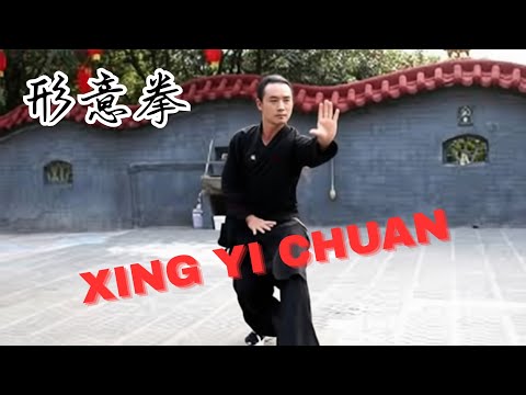 🇨🇳 形意拳 XINGYIQUAN: History, Origin and Lineages in the West | Internal Chinese Martial Art